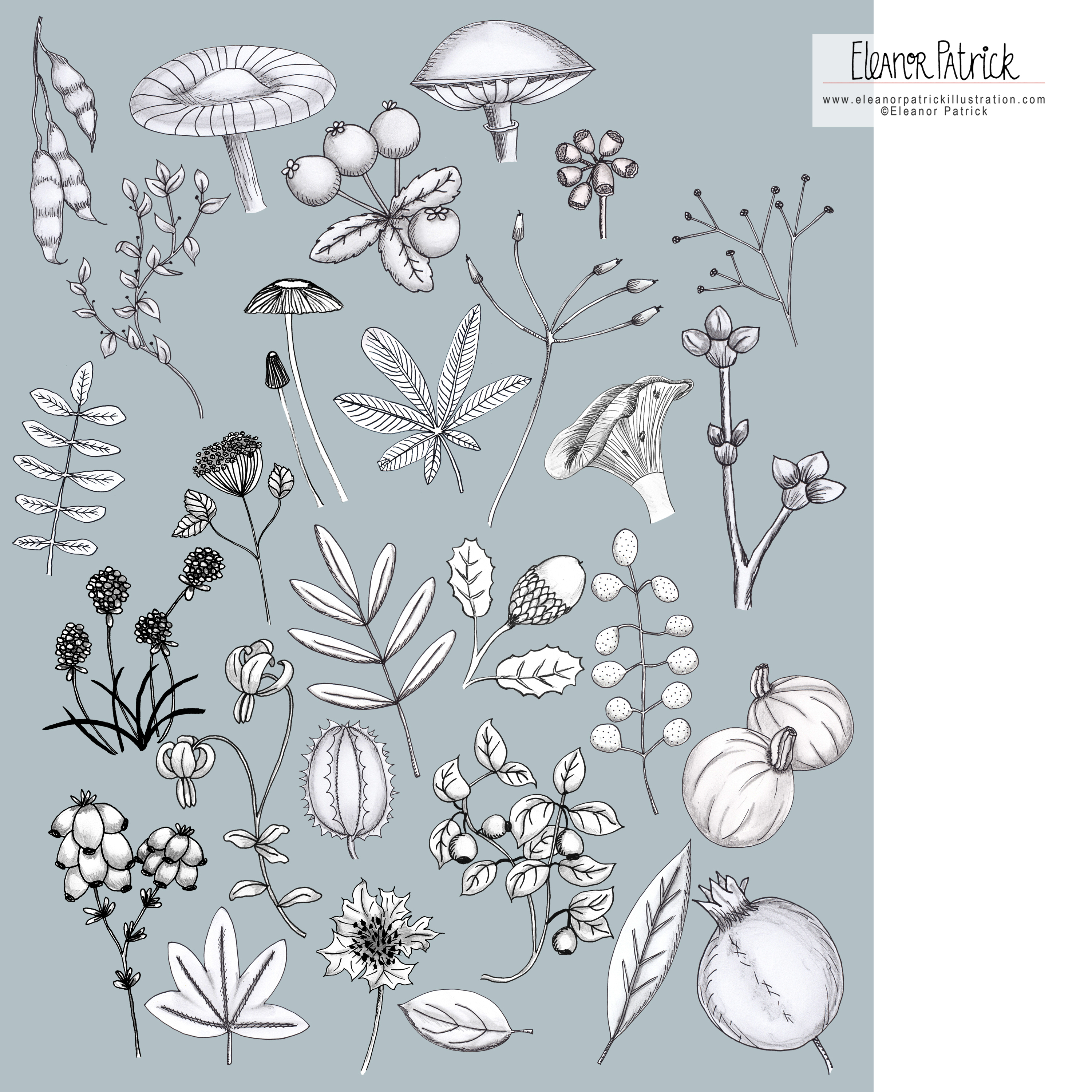 editorial nature spots