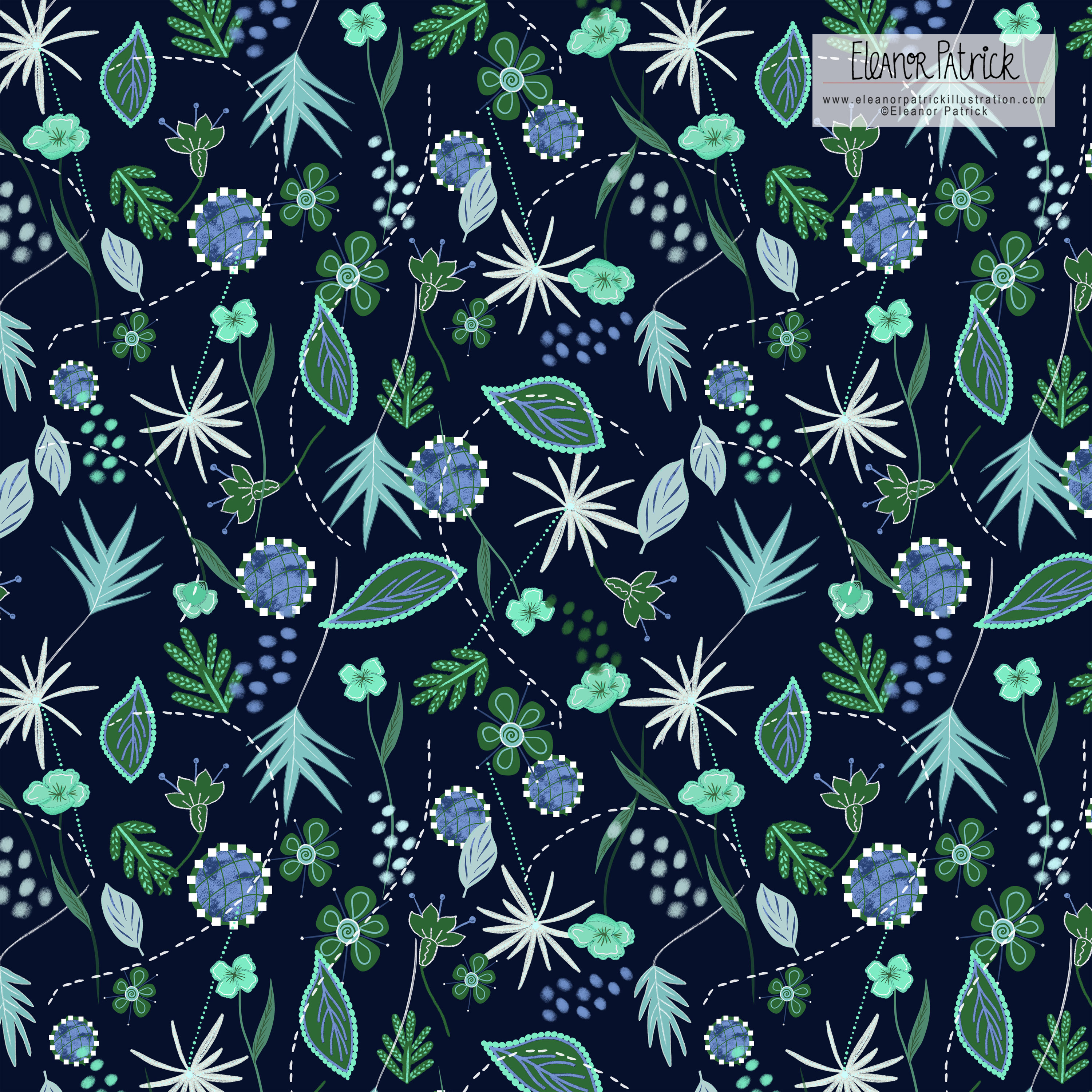 grape hyacinth spring